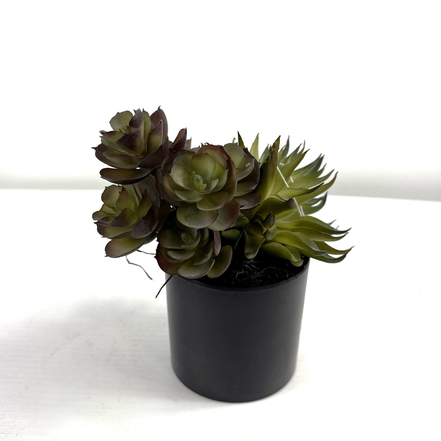 Succulent Garden (Set of 2)