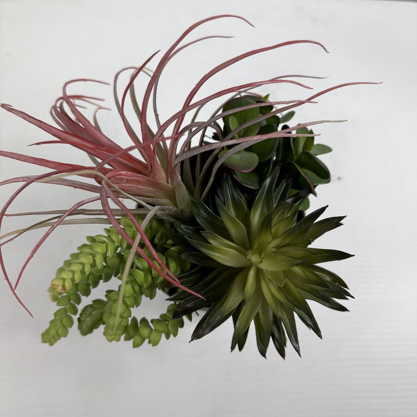 Succulent Garden (Set of 2)