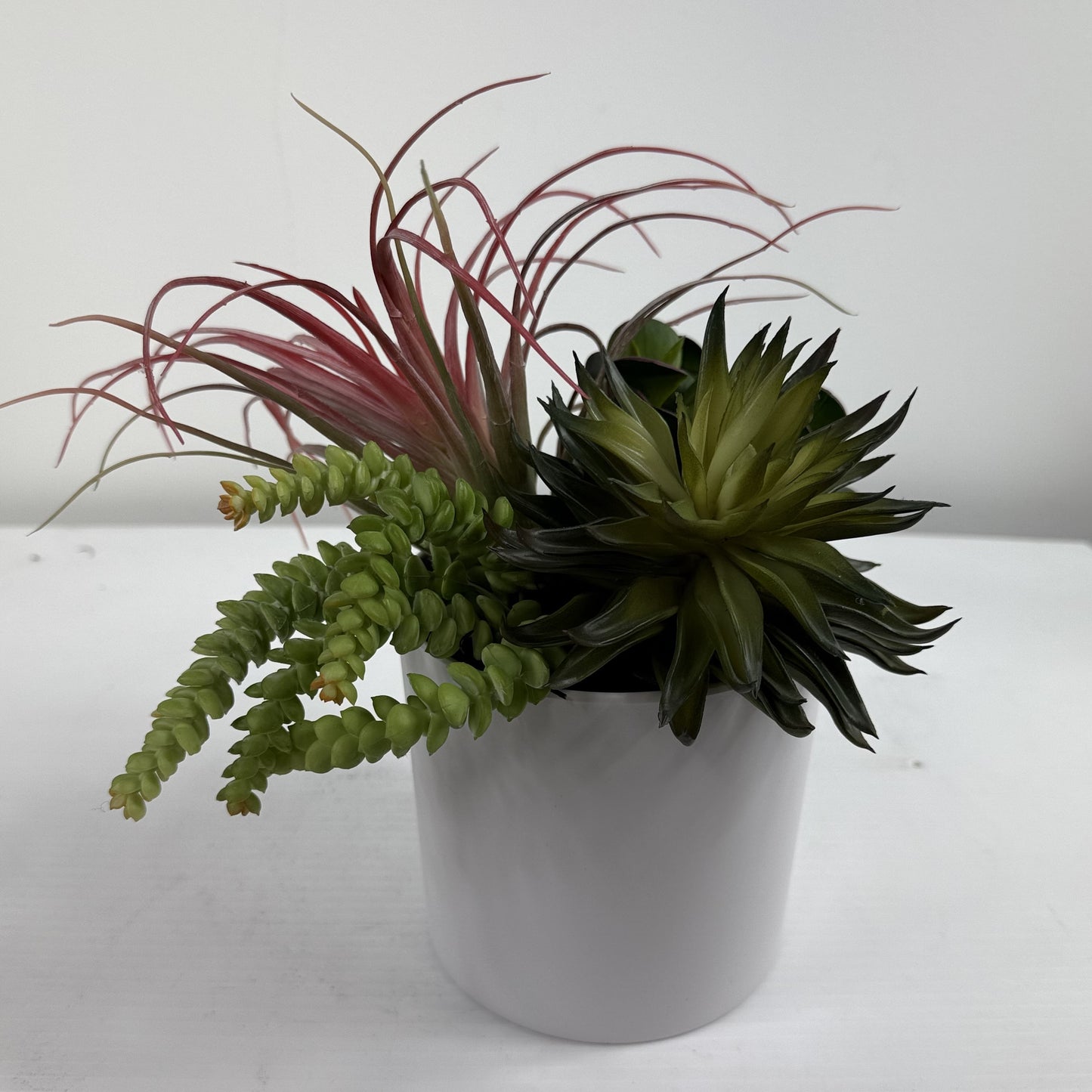 Succulent Garden (Set of 2)