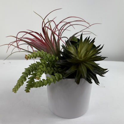 Succulent Garden (Set of 2)