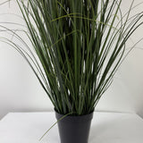 Grass w seeded plume 48"