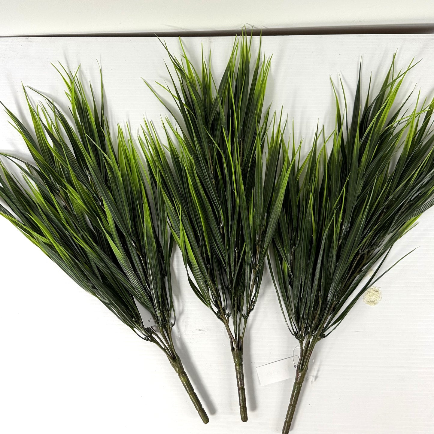 Wild and crazy grass set of three