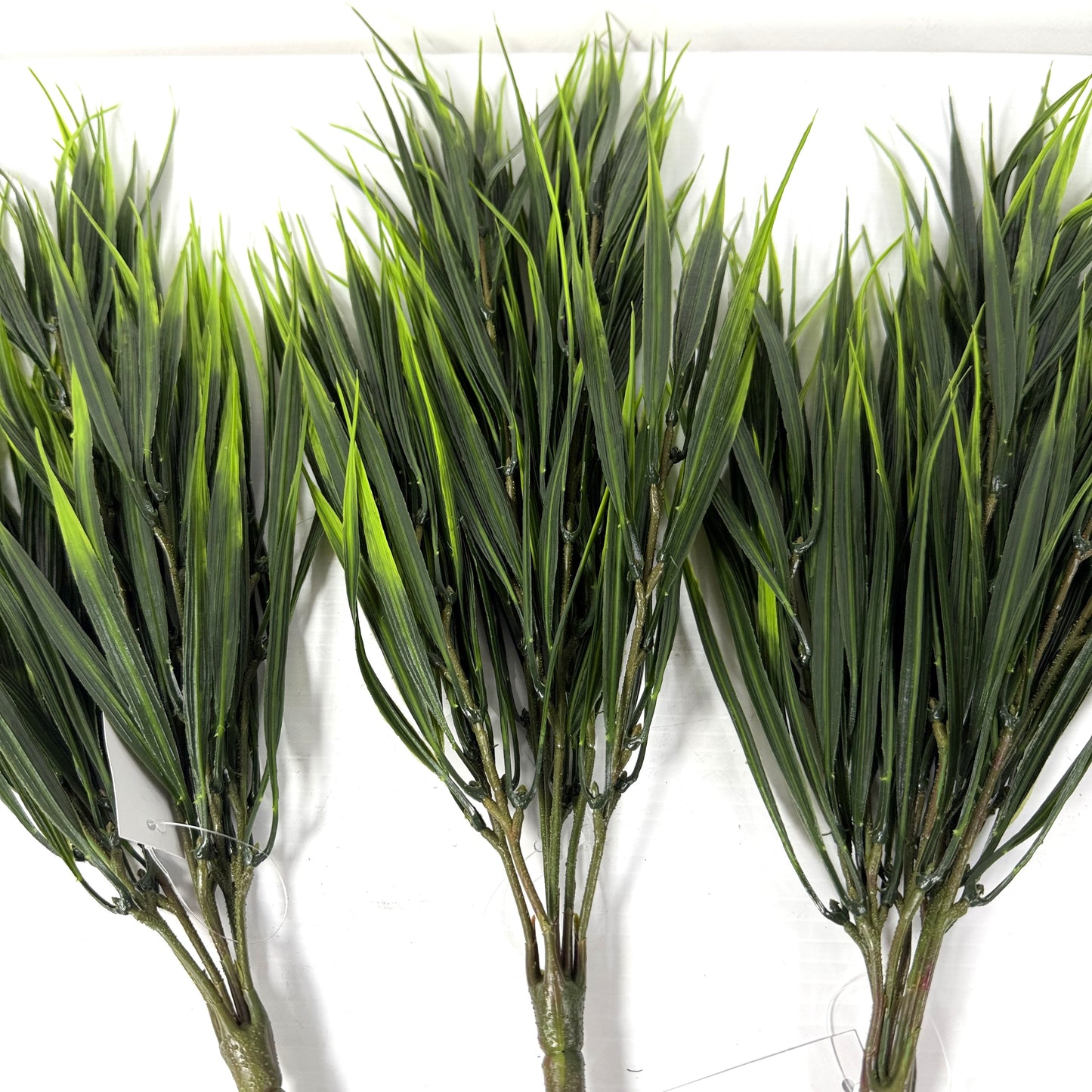Wild and crazy grass set of three