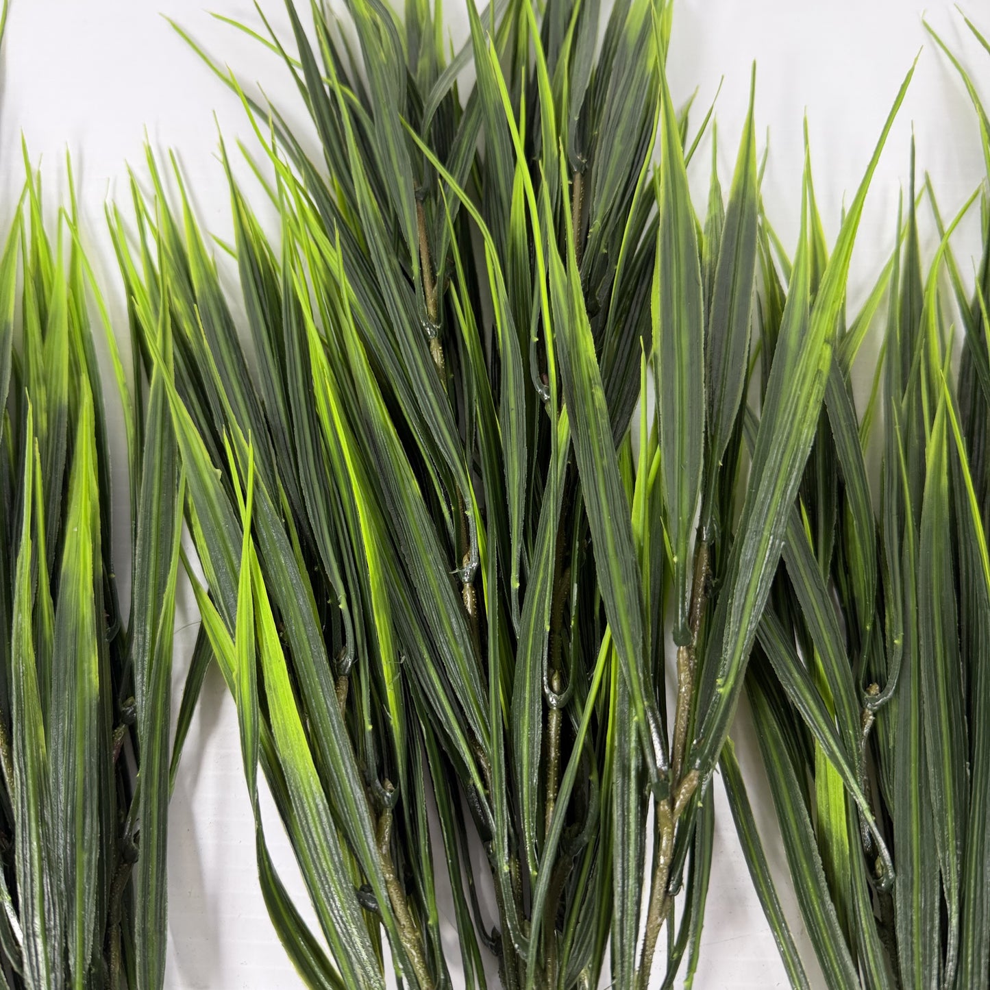 Wild and crazy grass set of three