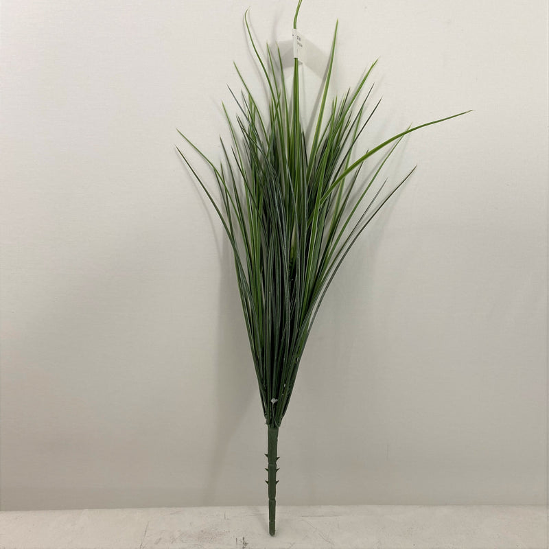 Grass variegated white green