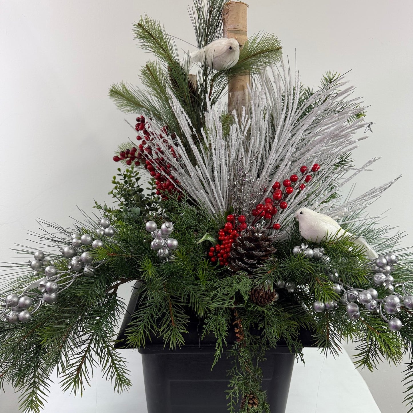 White dove 10" ( Instore pick up only )