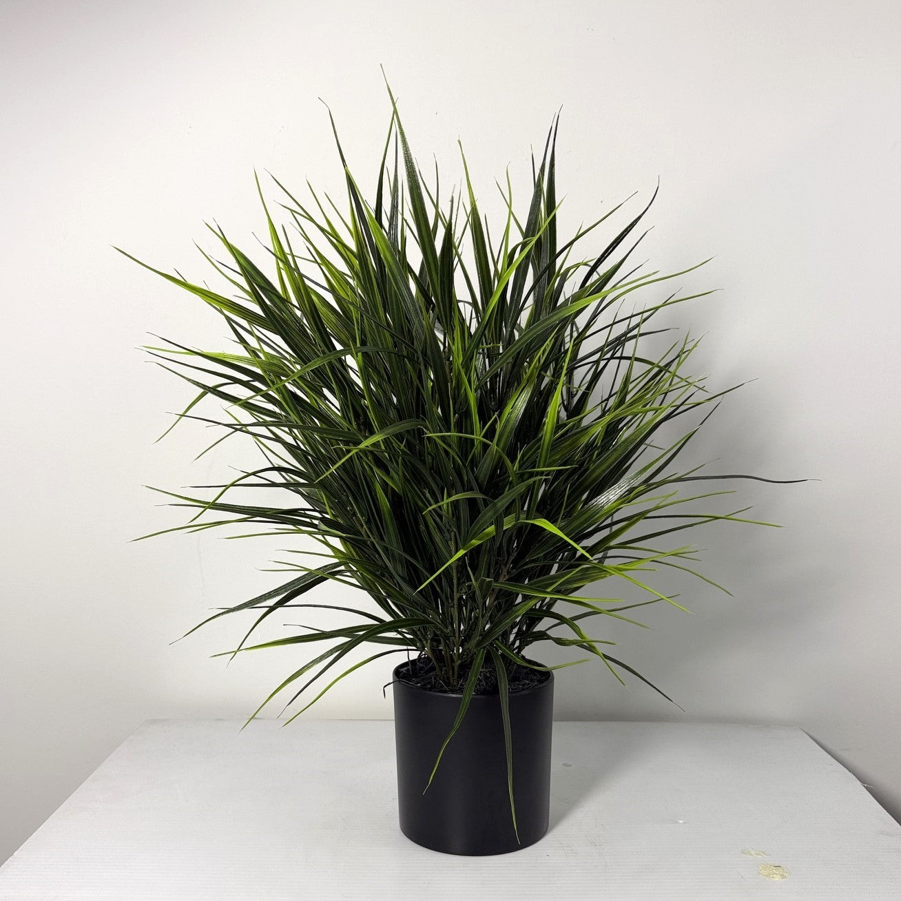 Wild Grass table top