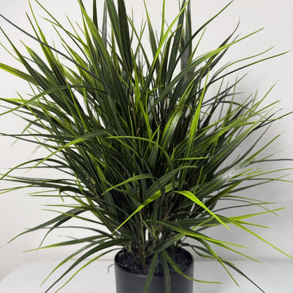 Wild Grass table top