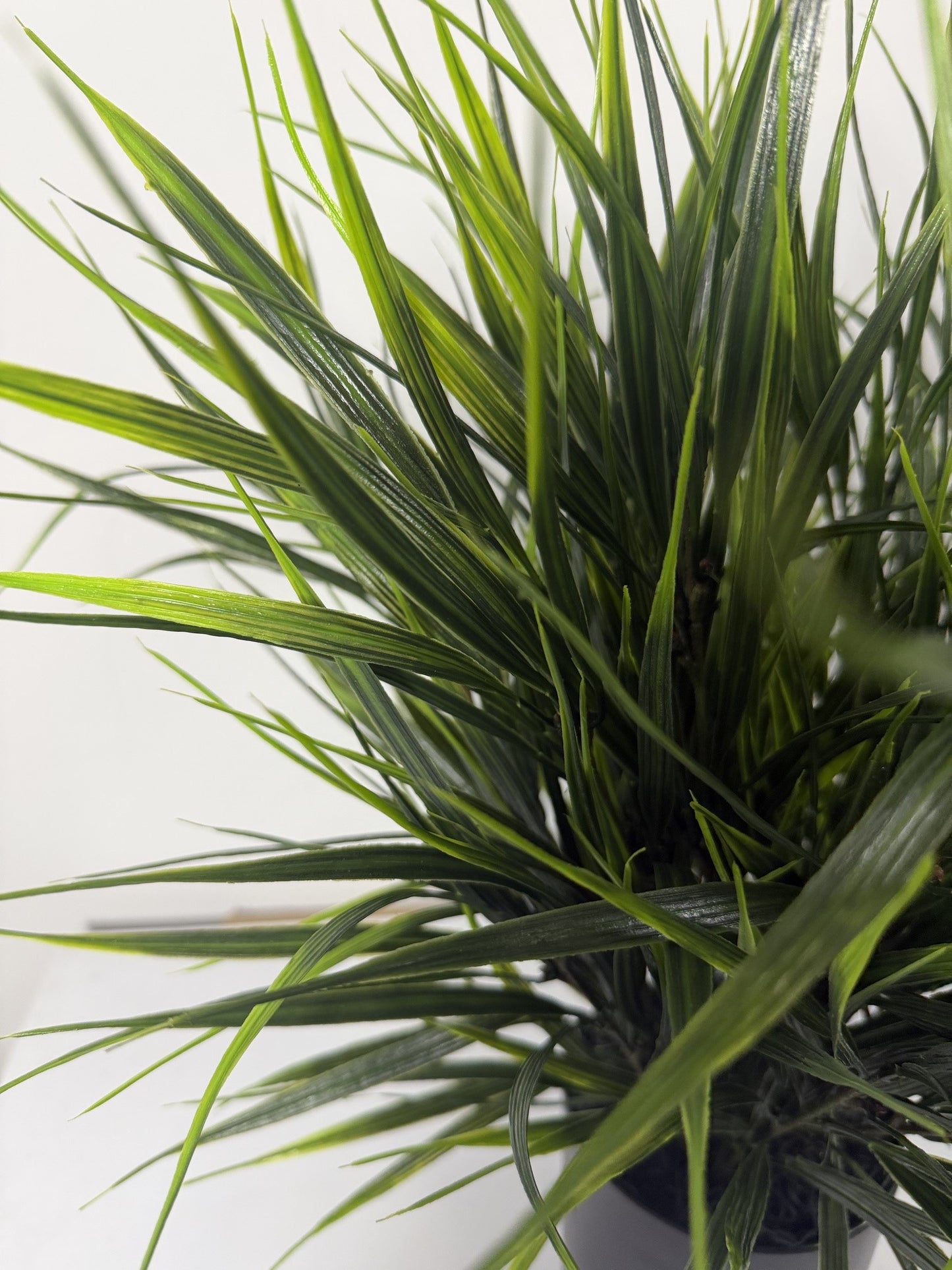Wild Grass table top
