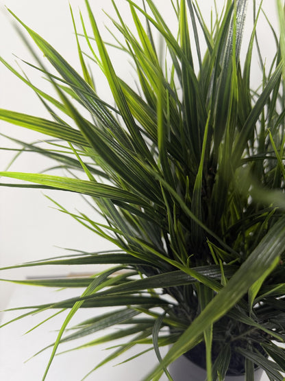 Wild Grass table top