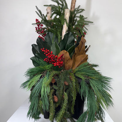 Winter Magnolia 14" ( Instore pick up only )