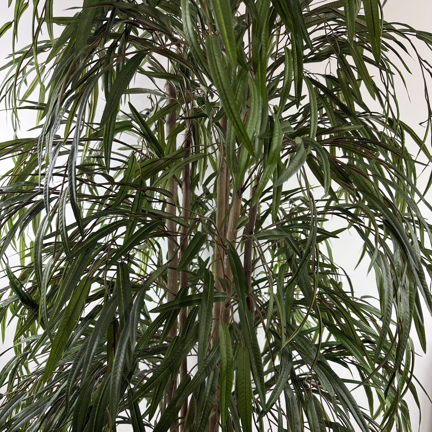 Weeping willow slim line 7.5' (instore pickup only)