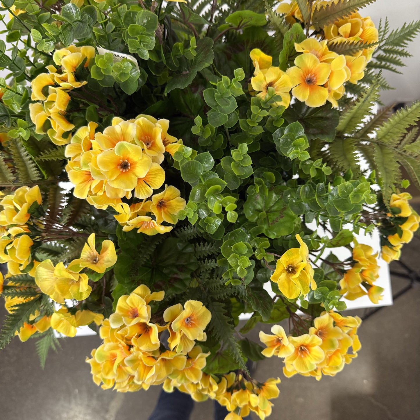Yellow Bird geranium Arrangement