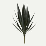 Yucca Head Plant 28"