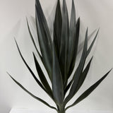 Yucca Head Plant 28"