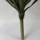 Yucca Head Plant 28"