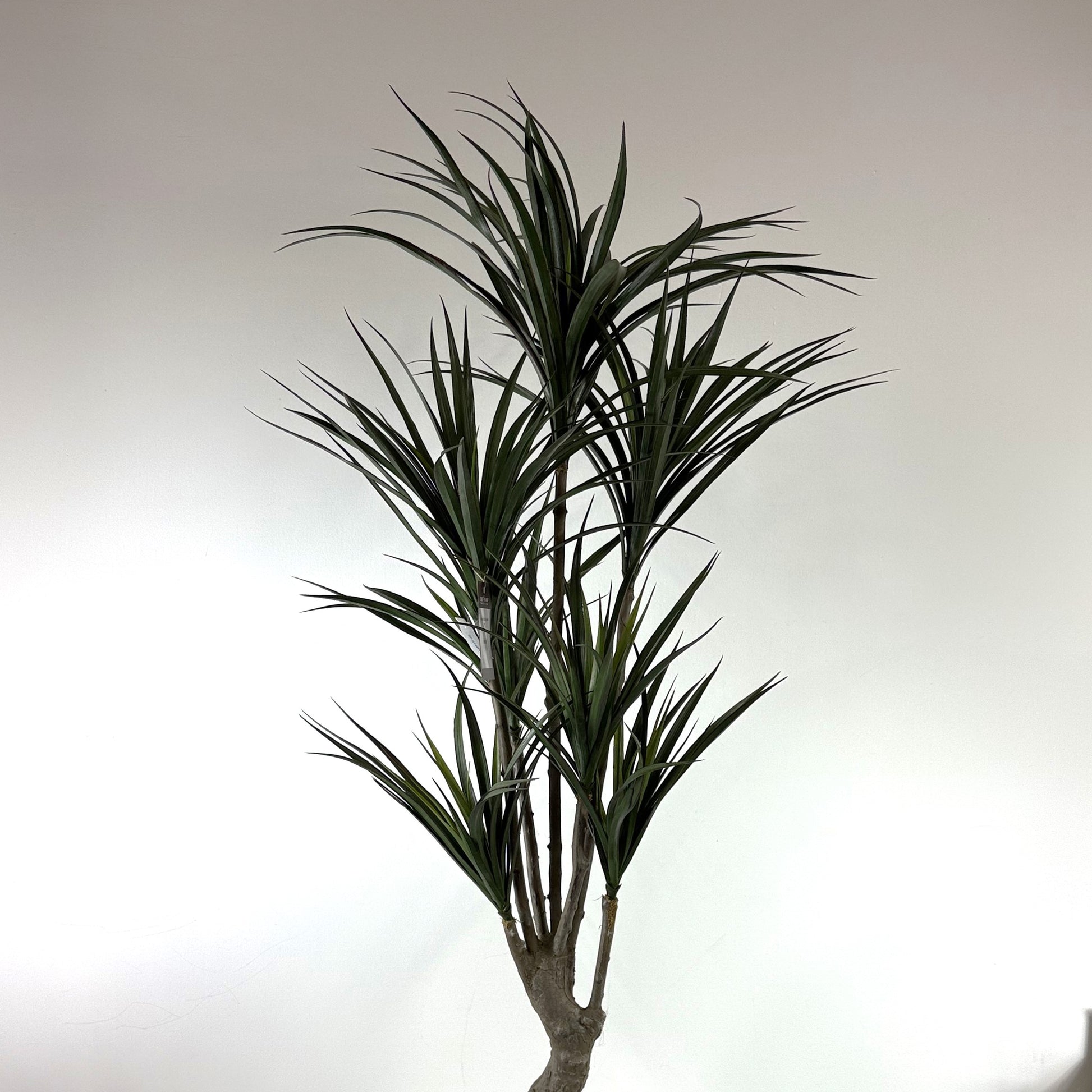 yucca plant canada Nearly Natural Yucca Plant