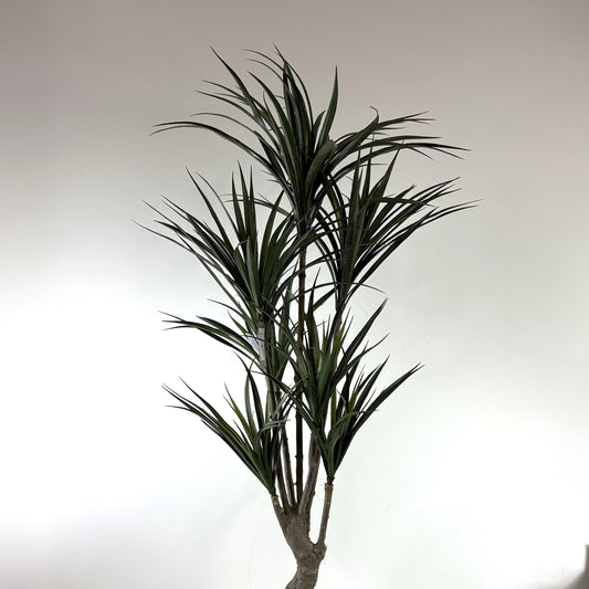 Yucca deluxe Uv protected 58"