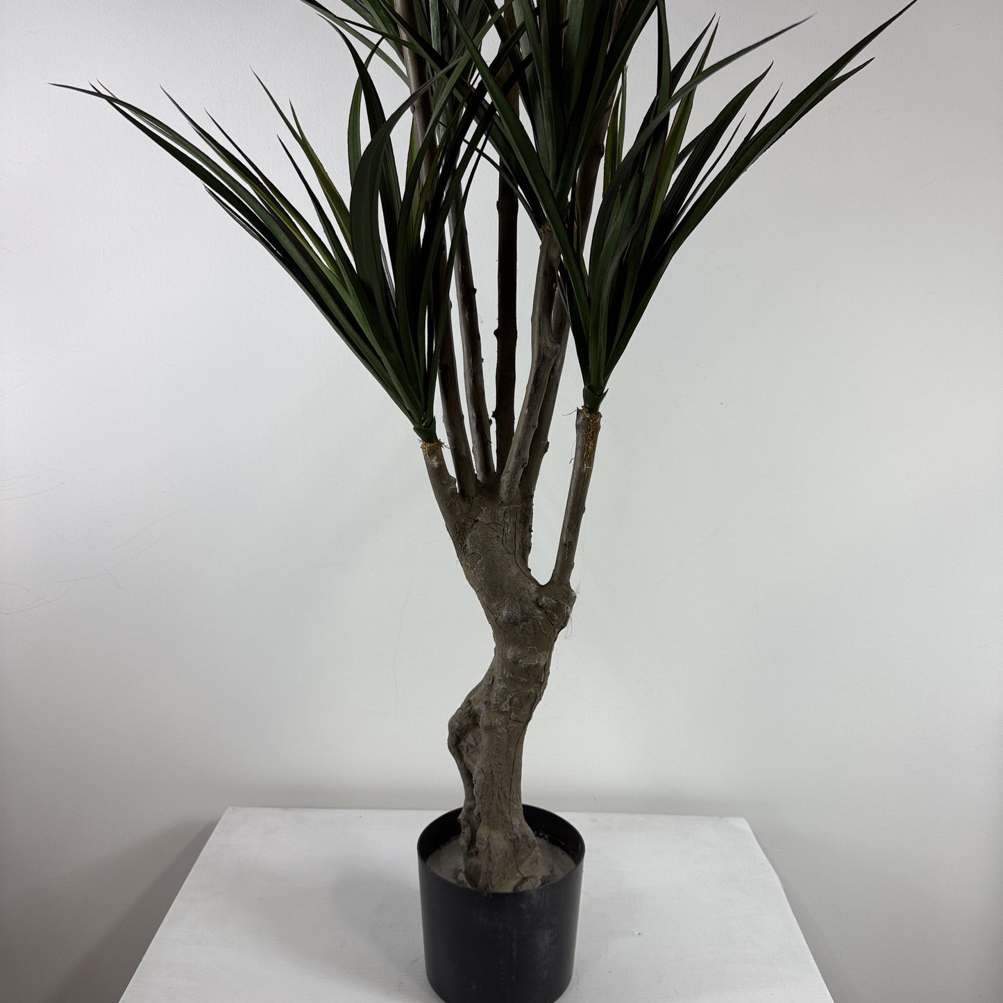 Yucca deluxe Uv protected 58"