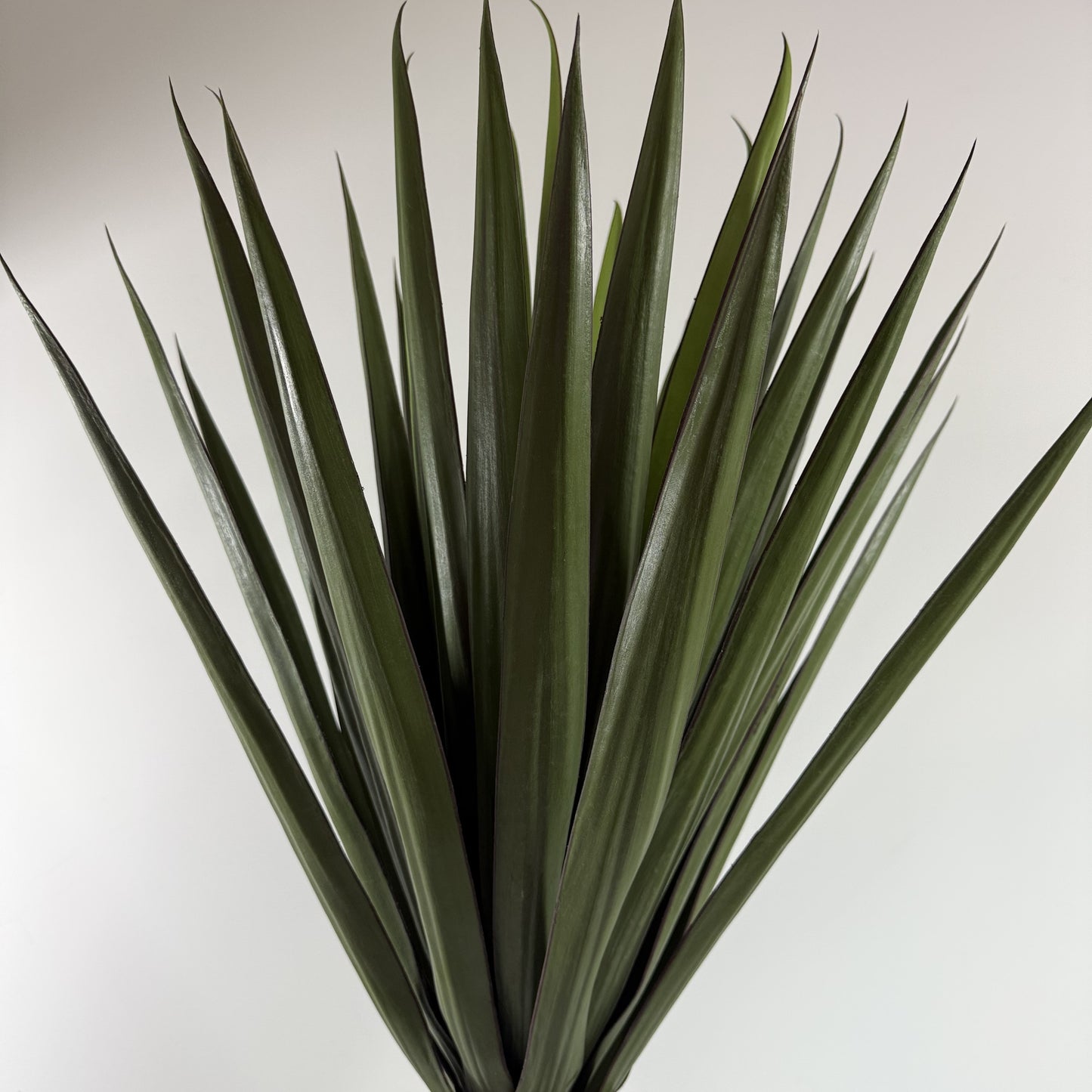 Brazilian Yucca real touch 36"