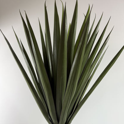 Brazilian Yucca real touch 36"