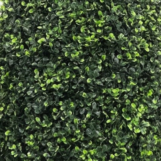 Boxwood Cone