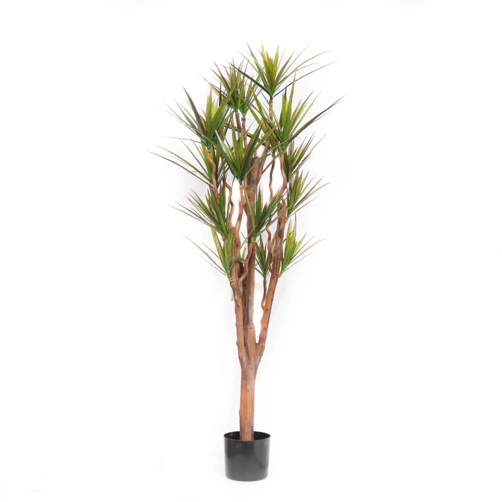 faux dracaena marginata Artificial Dracaena Marginata Plant