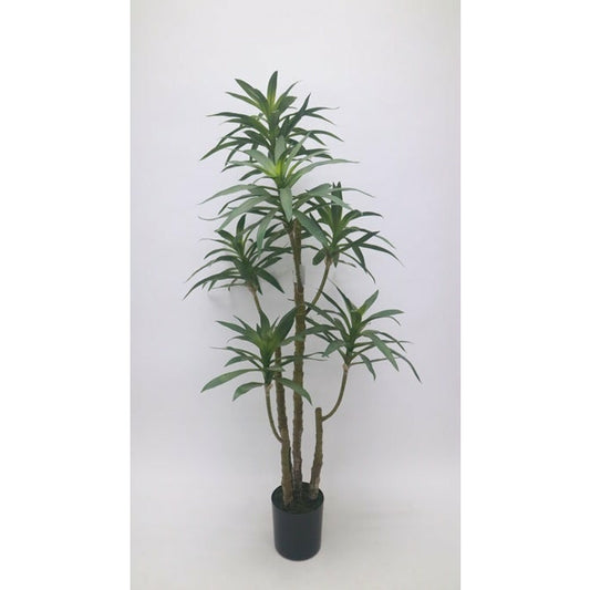 Sicily Grove 48"