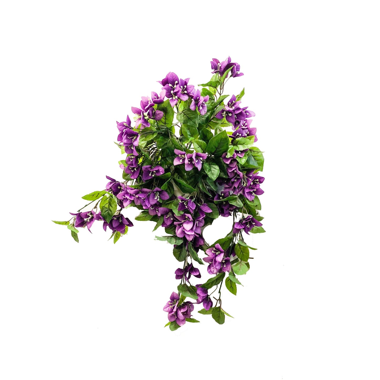 The Balcony Blooms Bundle