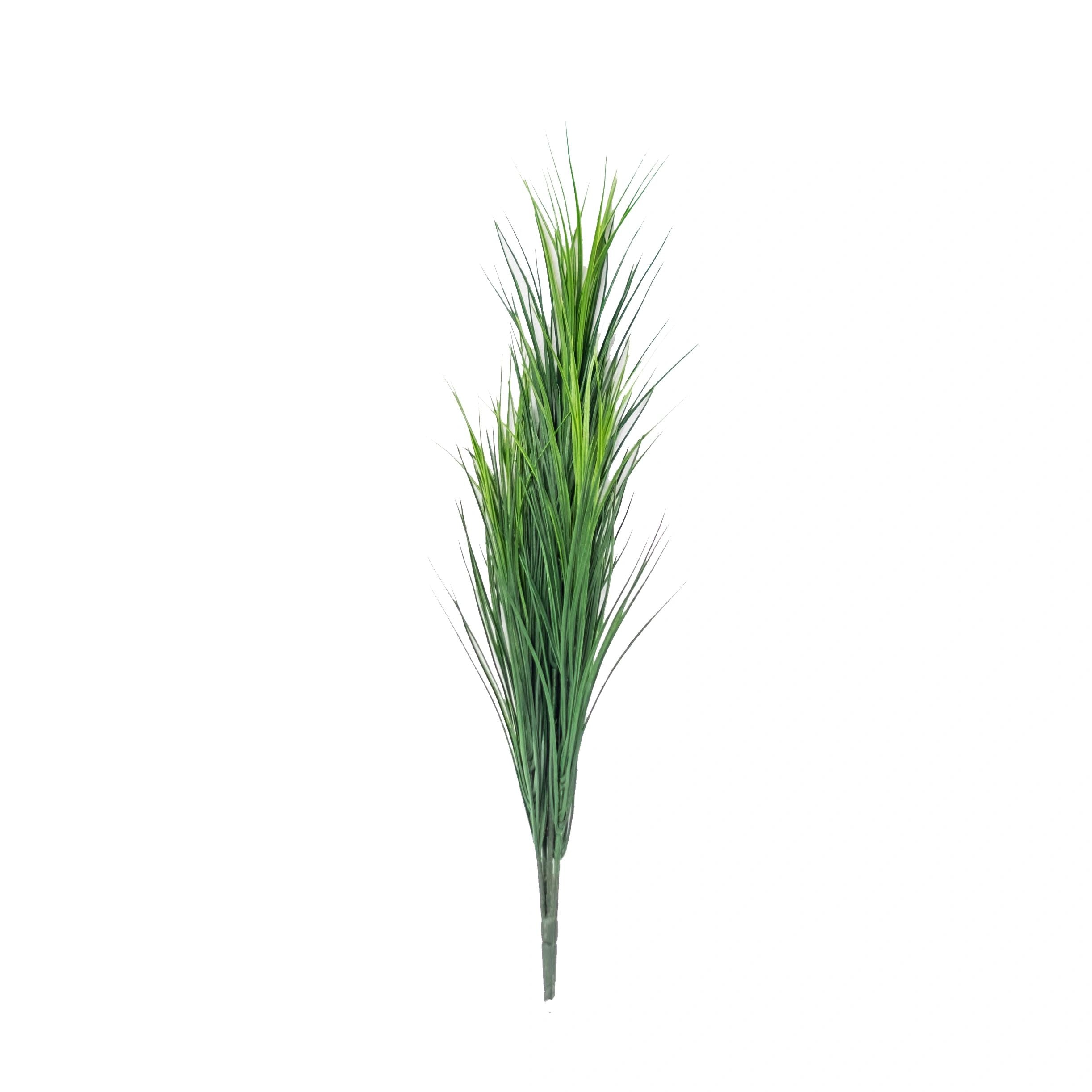 Wheat Grass Bush (Pack of 2)
