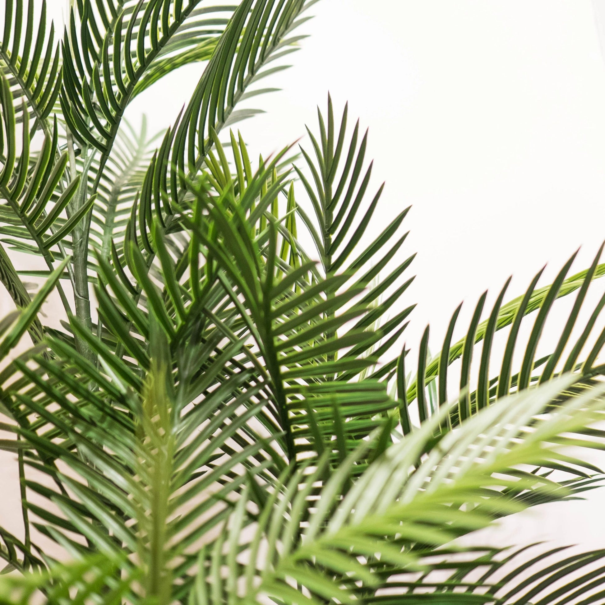 areca palm silk plant Faux Areca Palm