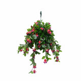 Fuchsia Flowering Basket