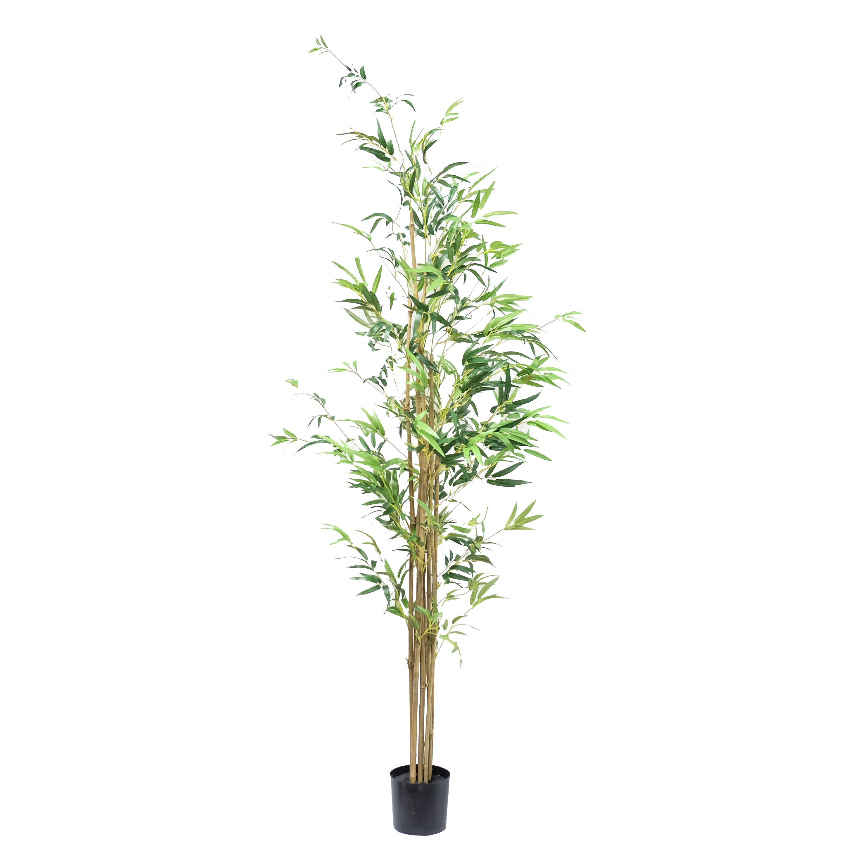Potted Bamboo Tree Column