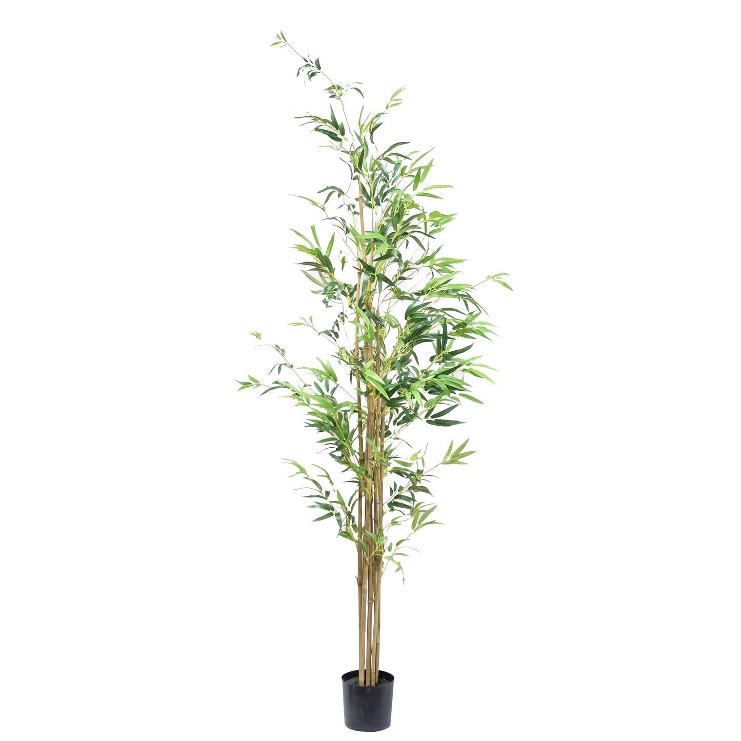 Potted Bamboo Tree Column