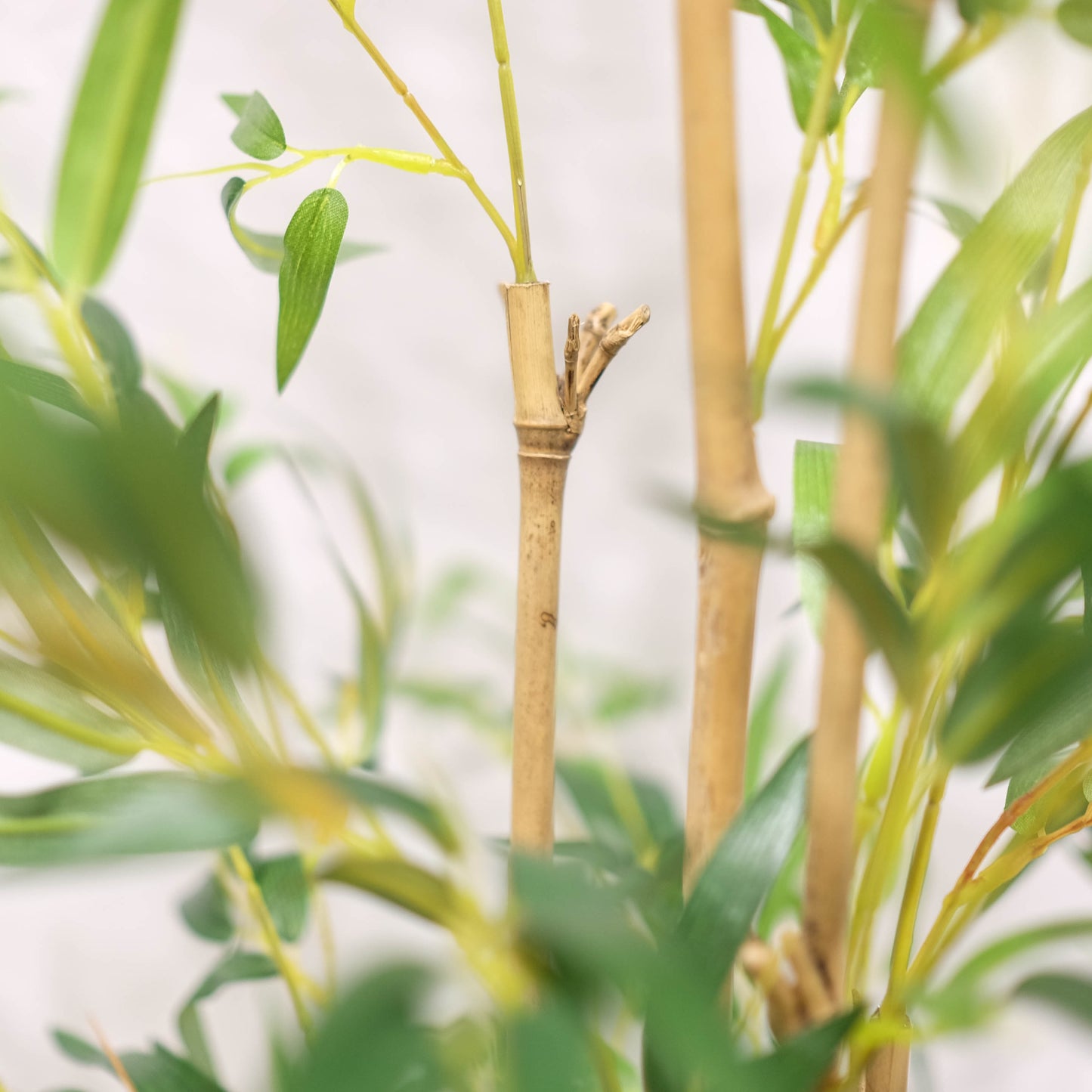 Potted Bamboo Tree Column