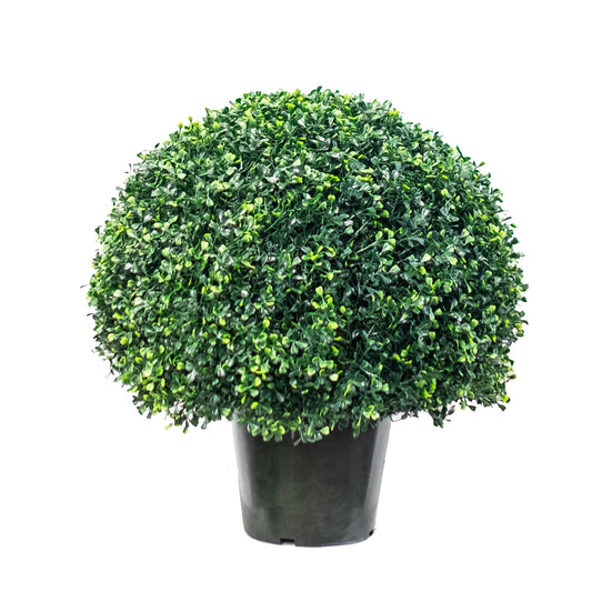 Boxwood Ball