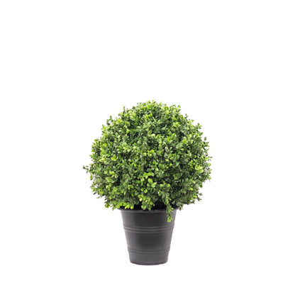 Fluffy Boxwood Ball