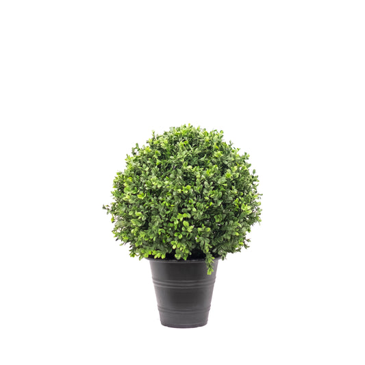 Fluffy Boxwood Ball