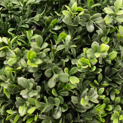 Fluffy Boxwood Ball