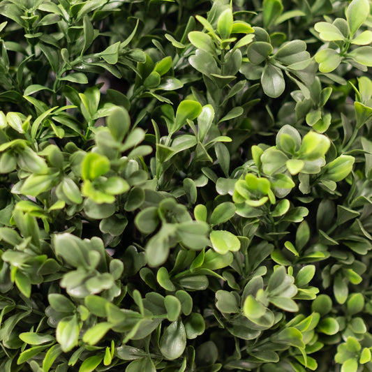 Fluffy Boxwood Ball