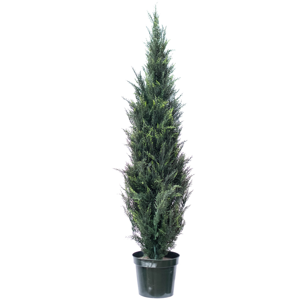 Cypress Tree Silk Plant Decor and More