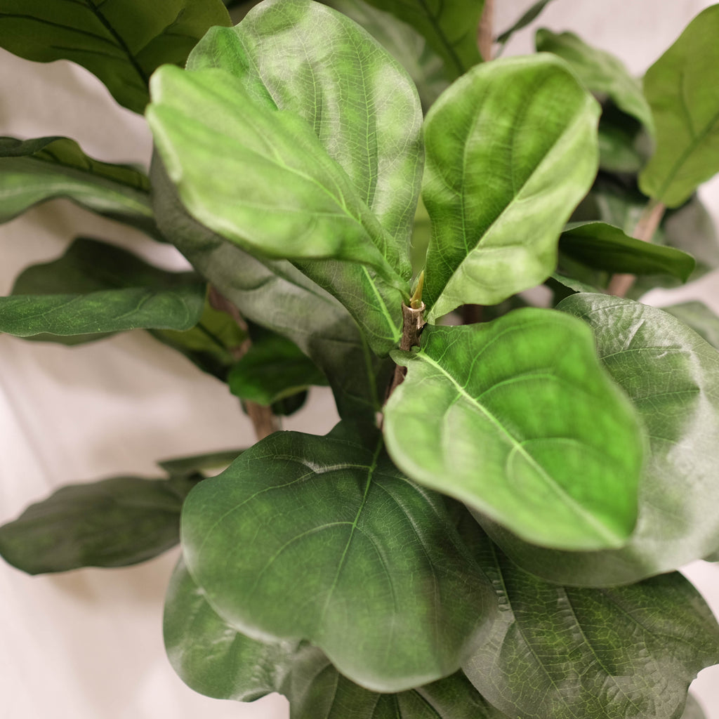 Fiddle Leaf Fig 6ft – Silk Plant Decor And More