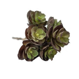Sedum 7.5" (Pack of 3)