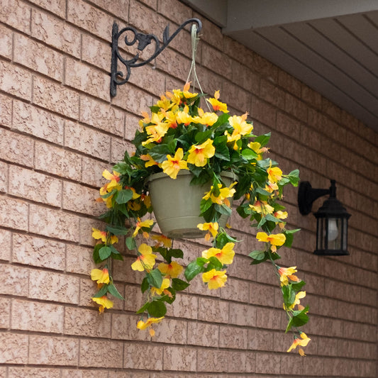 Hibiscus Flowering Basket
