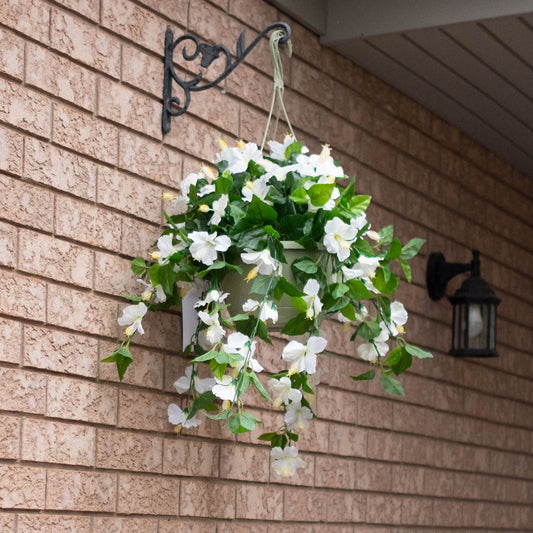 Hibiscus Flowering Basket