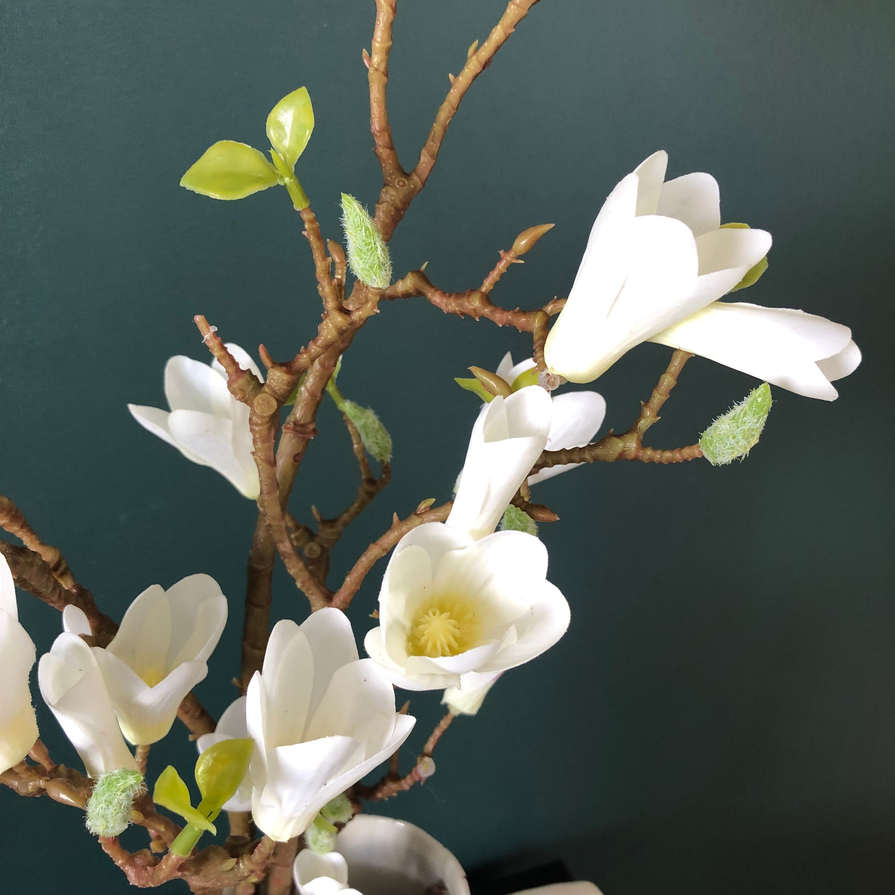 Blooming Magnolia 34" (Pack of 3)