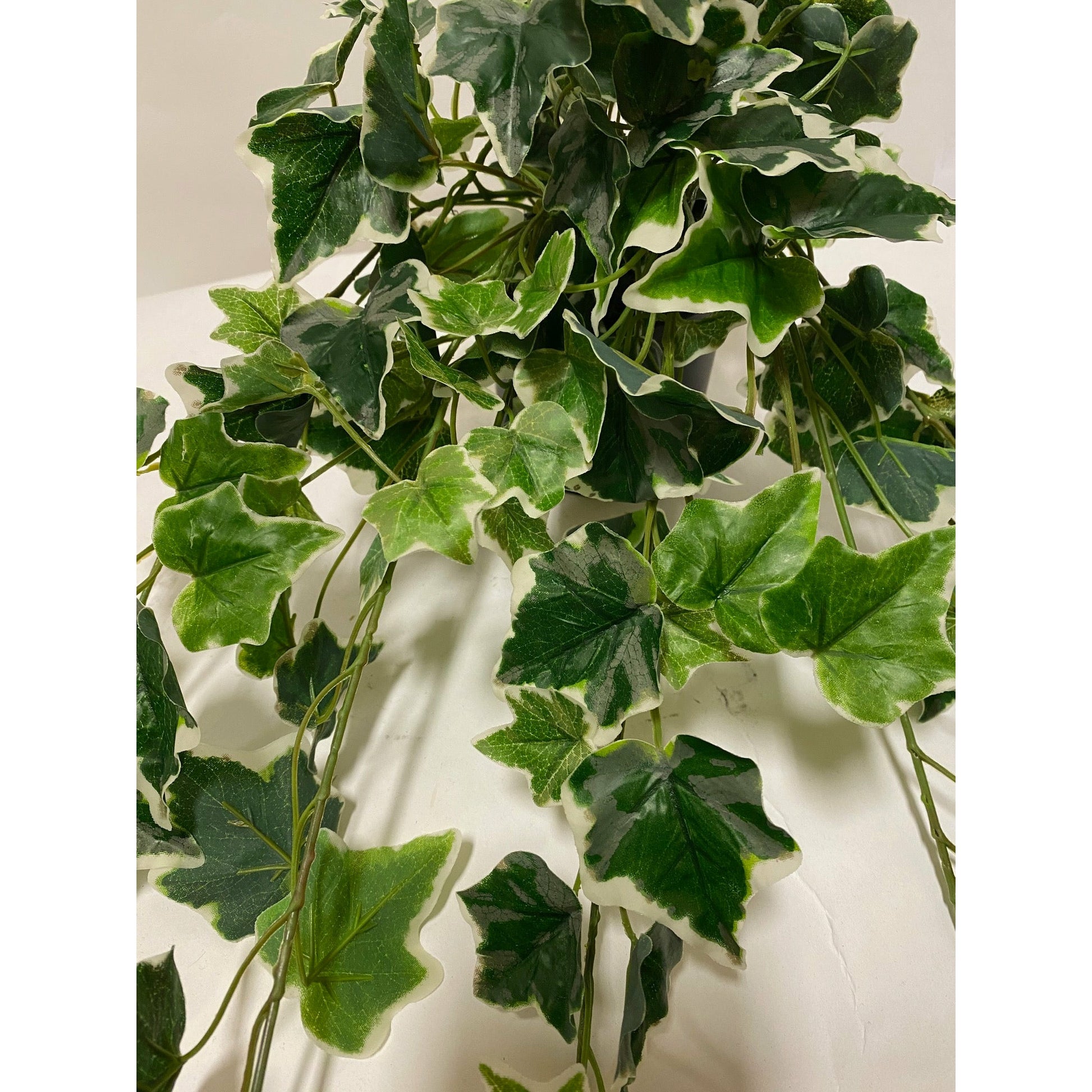 faux potted ivy plant Faux Potted English Ivy in Ceramic