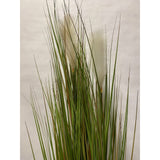 Potted Angel Hair Grass 58"