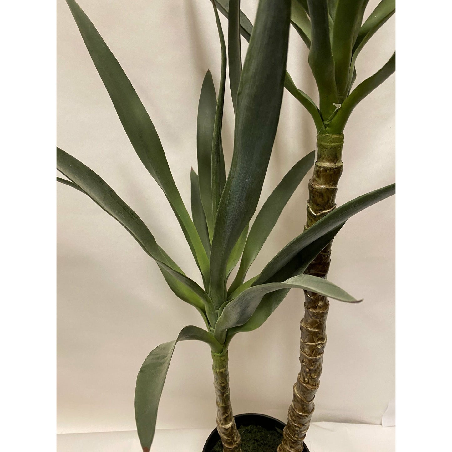 Yucca slim Ultra-leaf 44"