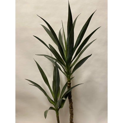 Yucca slim Ultra-leaf 44"